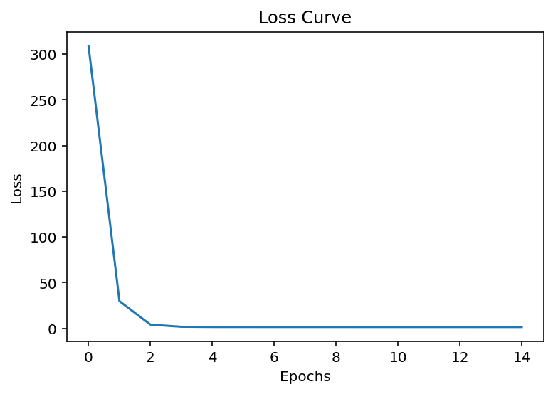 Tracking loss over time in PyTorch